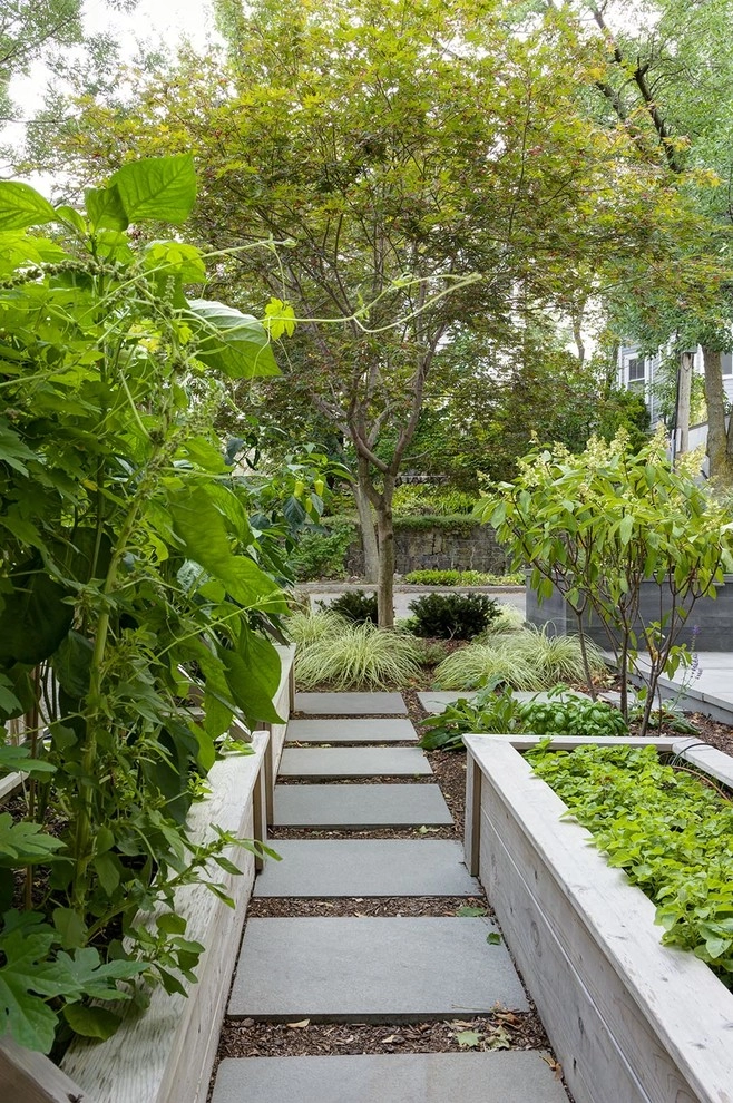 Brookline Modern Front Yard by Nilsen Landscape Design, LLC - Photo 20