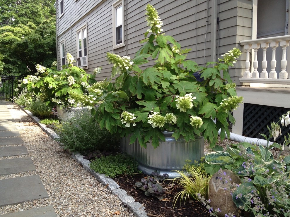 Cambridge Master Plan by Nilsen Landscape Design, LLC - Photo 6