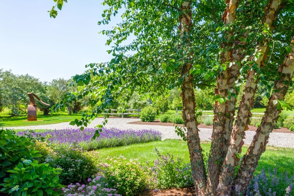 Westport Retreat by Nilsen Landscape Design, LLC - Photo 20
