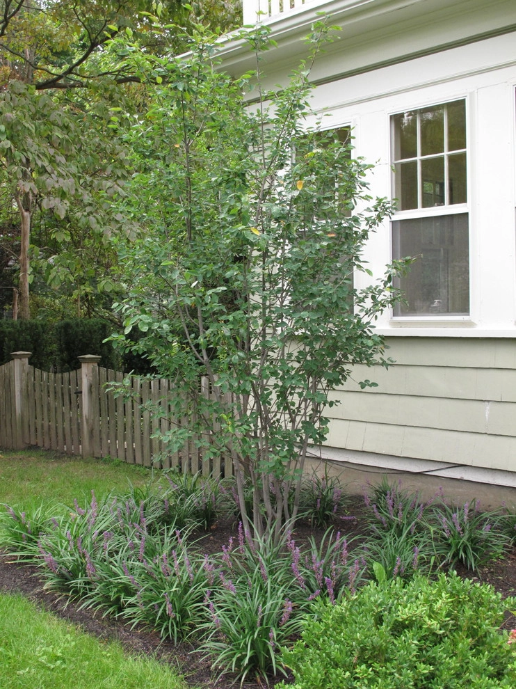Wellesley Landscape Renovation by Nilsen Landscape Design, LLC - Photo 4