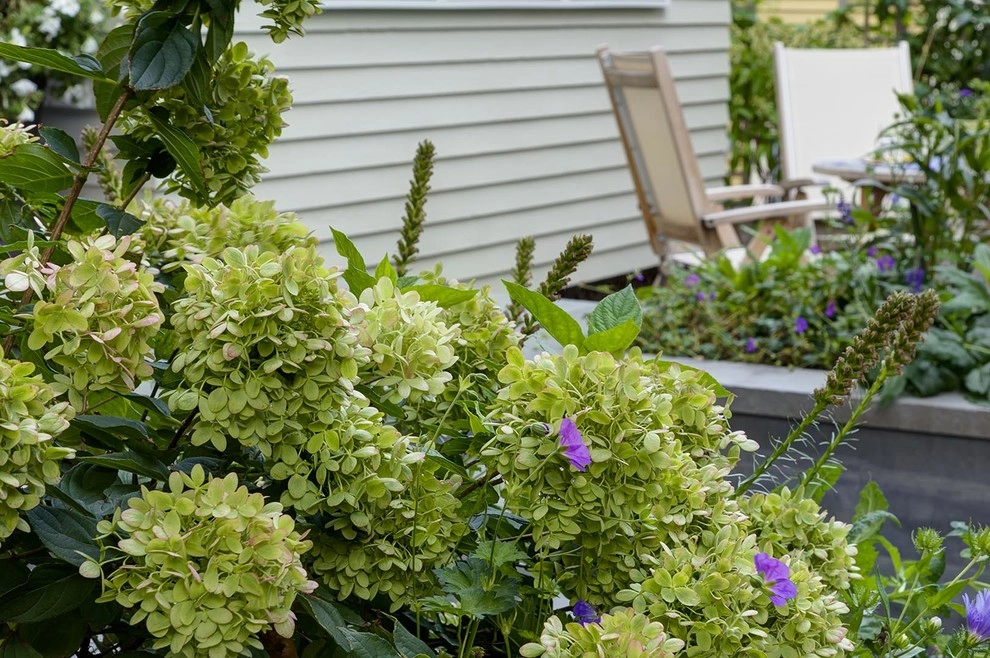 Brookline Modern Front Yard by Nilsen Landscape Design, LLC - Photo 5