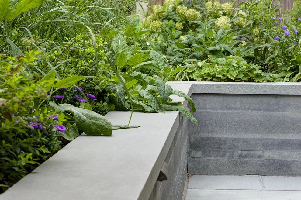Brookline Modern Front Yard by Nilsen Landscape Design, LLC - Photo 10