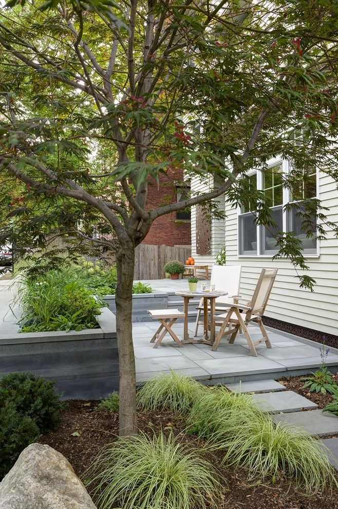 Brookline Modern Front Yard by Nilsen Landscape Design, LLC - Photo 13