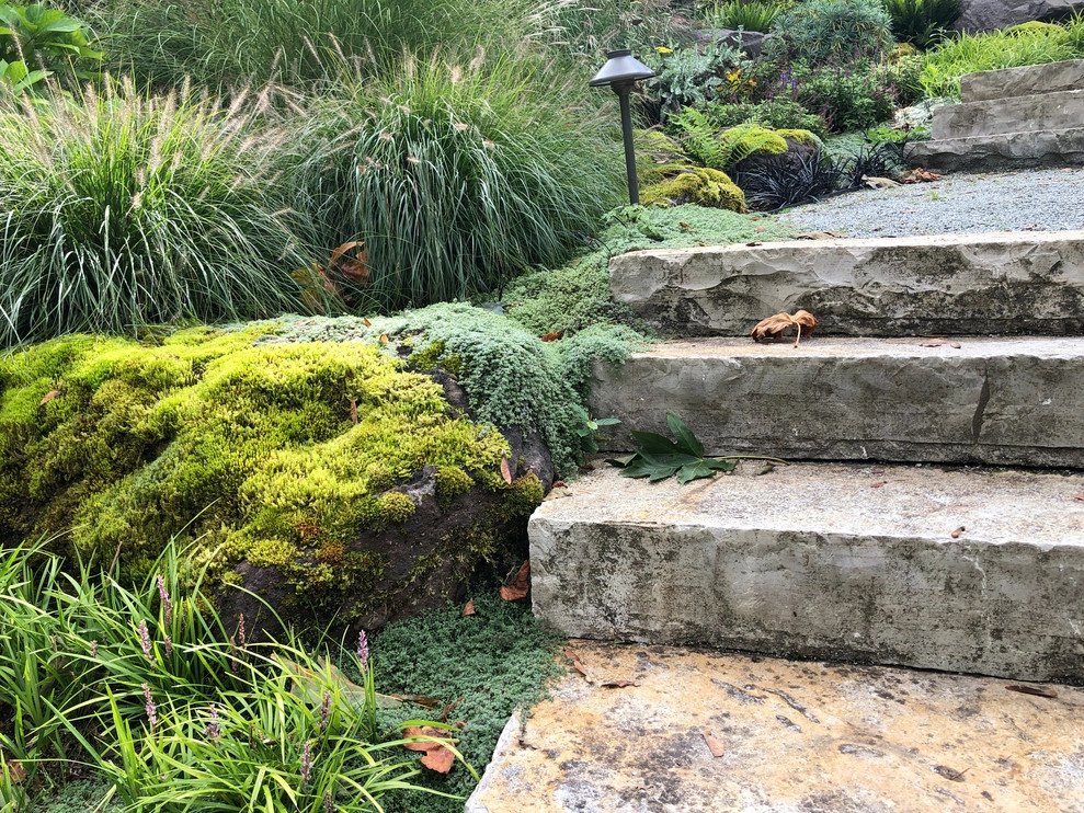 North Bend by Noriko Marshall Landscape Architecture - Photo 7