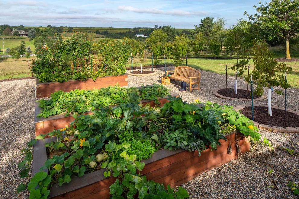 Land Revitalization by Craig Tuttle Construction, Inc. - Photo 28