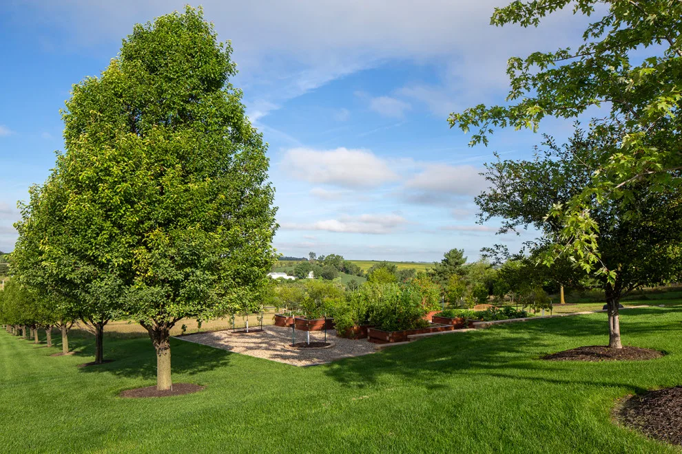 Land Revitalization by Craig Tuttle Construction, Inc. - Photo 53