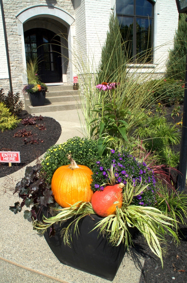Oasis Outdoor Living & Landscapes - Photo 9