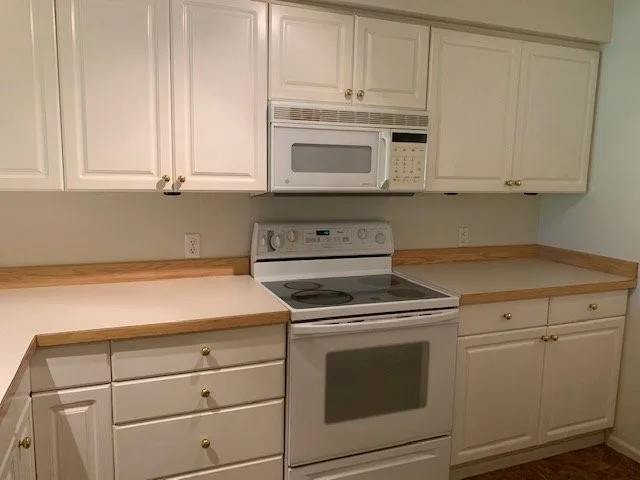 Contemporary White Kitchen Renovation by Wise Choice Construction - Photo 2