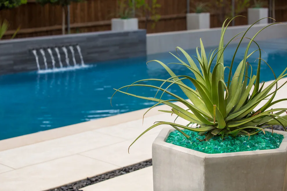 Southlake Modern by The Plant Concierge - Photo 33