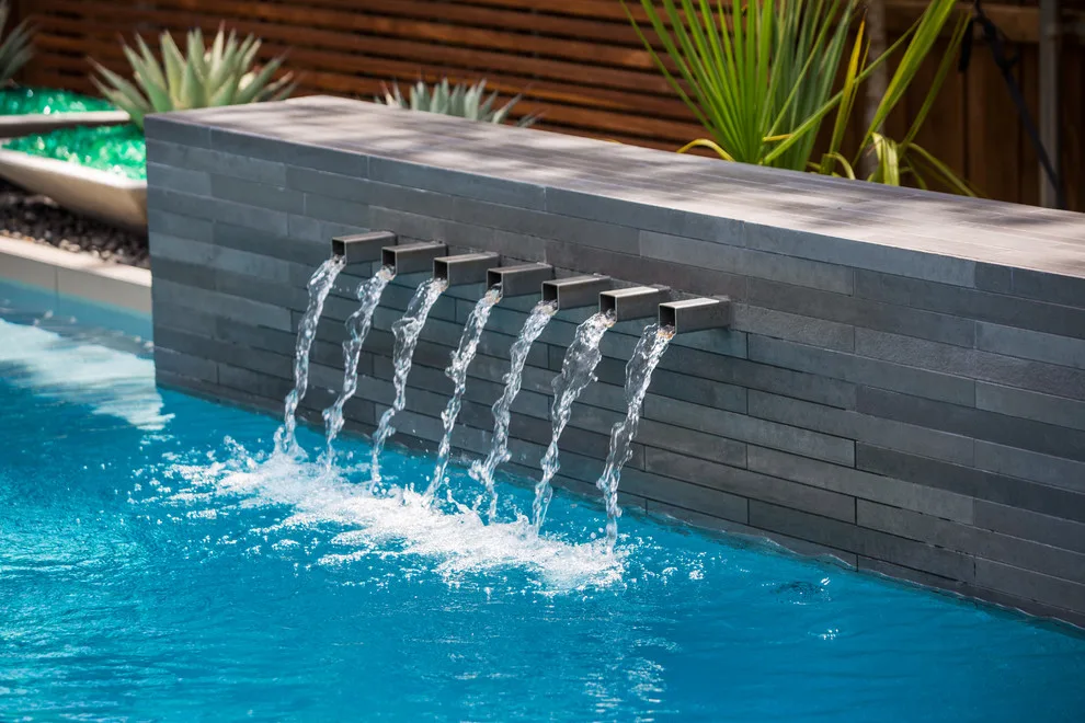 Southlake Modern by The Plant Concierge - Photo 5