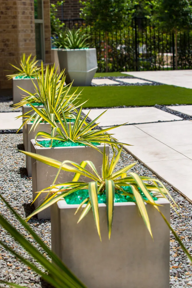 Southlake Modern by The Plant Concierge - Photo 44