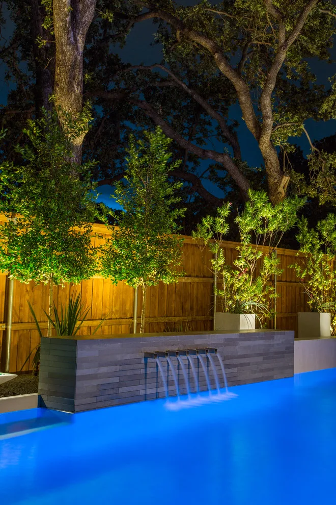 Southlake Modern by The Plant Concierge - Photo 17