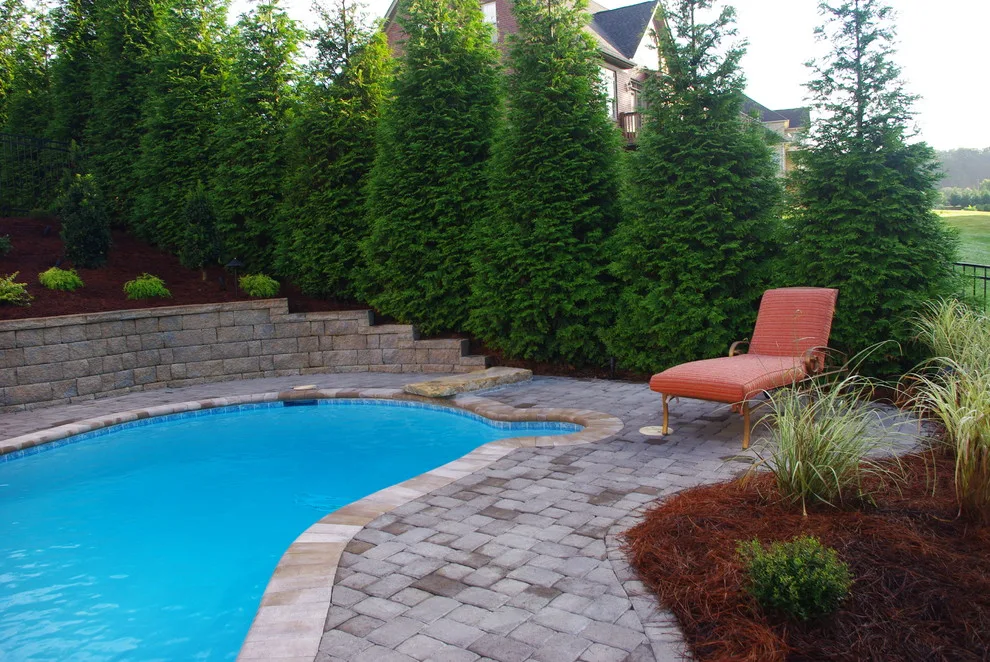 Tropical Pool in Summerfield by Hawkins Landscape Architecture/TriadGarden - Photo 7