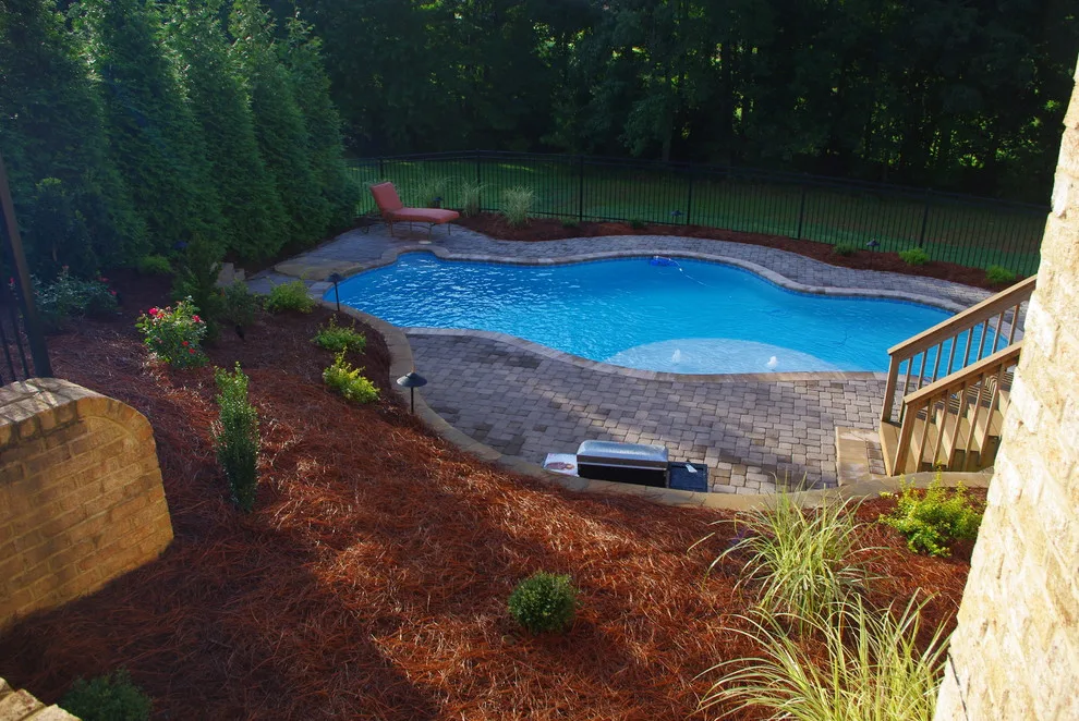 Tropical Pool in Summerfield by Hawkins Landscape Architecture/TriadGarden - Photo 2