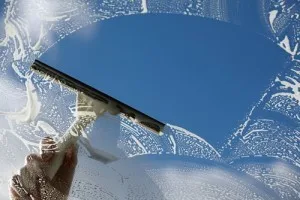 South Window Insights by NewSouth Window Solutions - Photo 2