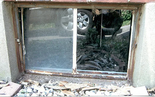 Window World Of Louisville - Photo 4