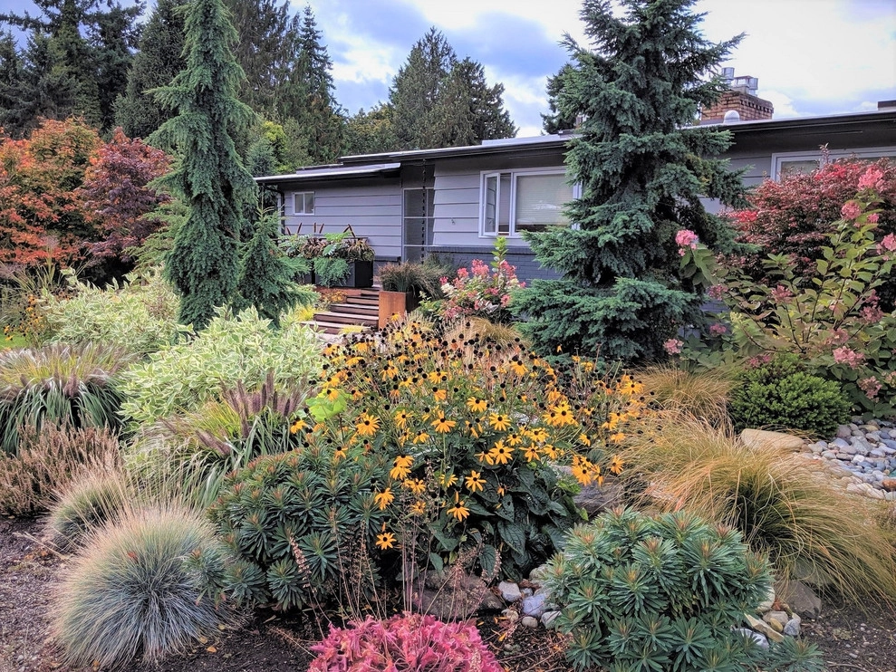 Broadview Mid-Century Makeover by Olander Garden Design - Photo 2