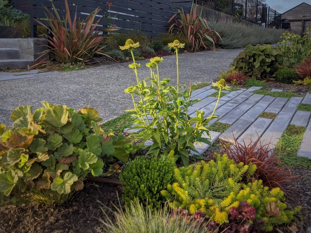 Sunset Hill Edible Garden by Olander Garden Design - Photo 4