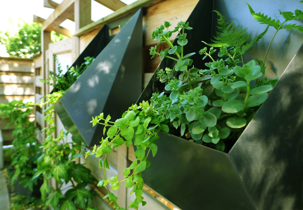 Seattle Contemporary Planting by Olander Garden Design - Photo 3