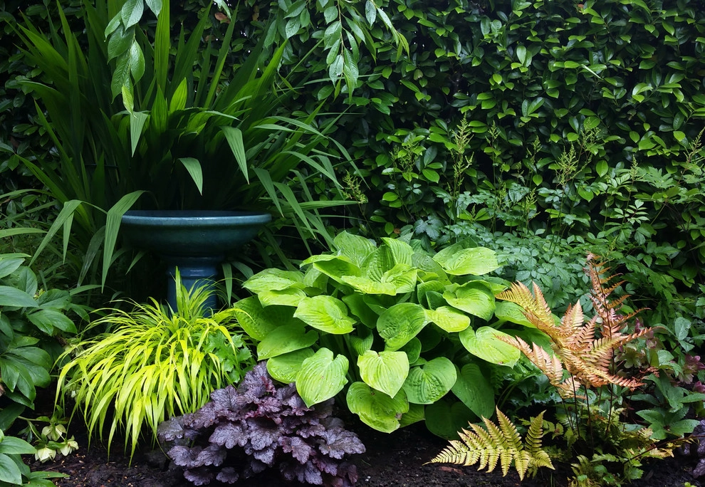Shady Border Planting by Olander Garden Design - Photo 2