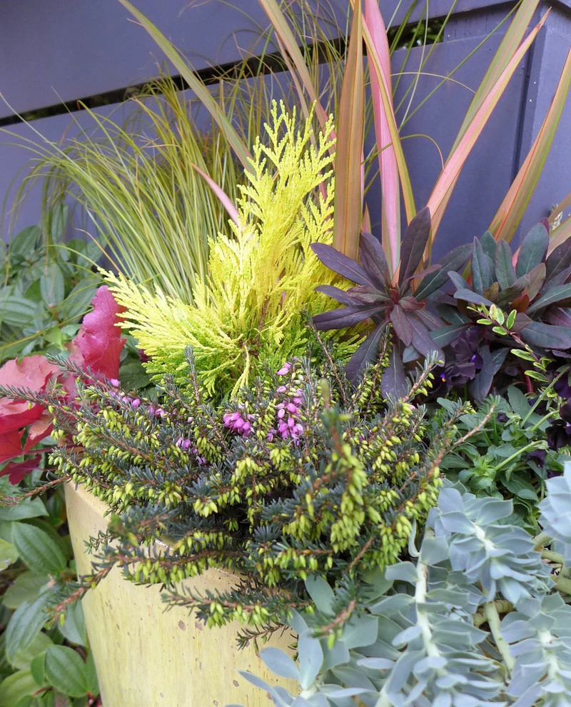 Modern Details by Olander Garden Design - Photo 6