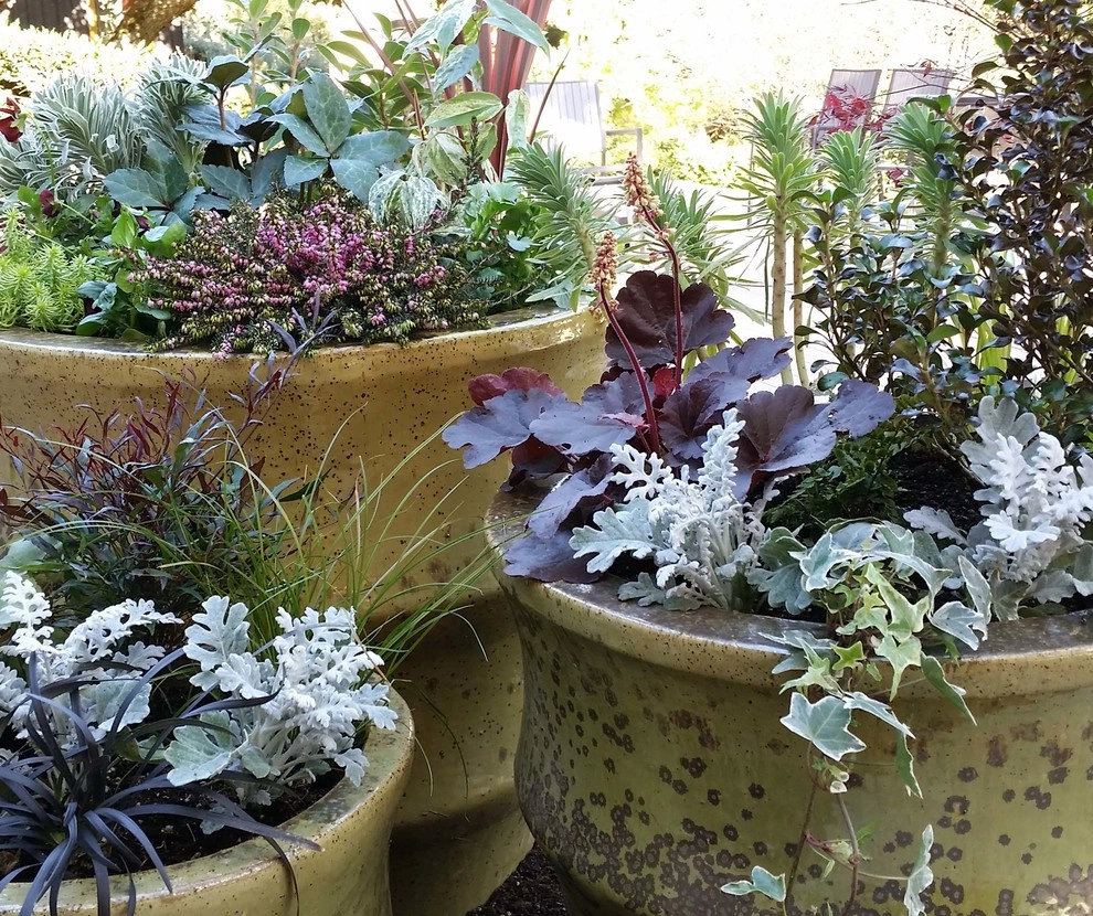 Modern Details by Olander Garden Design - Photo 9