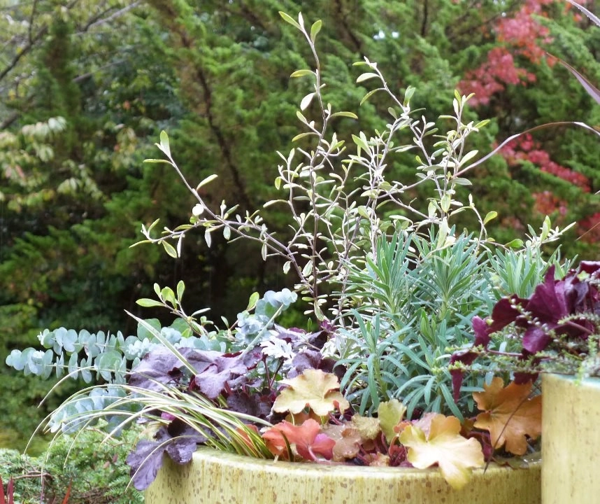 Modern Details by Olander Garden Design - Photo 4