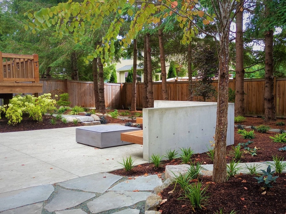 Modern Woodland by In Harmony Sustainable Landscapes - Photo 7