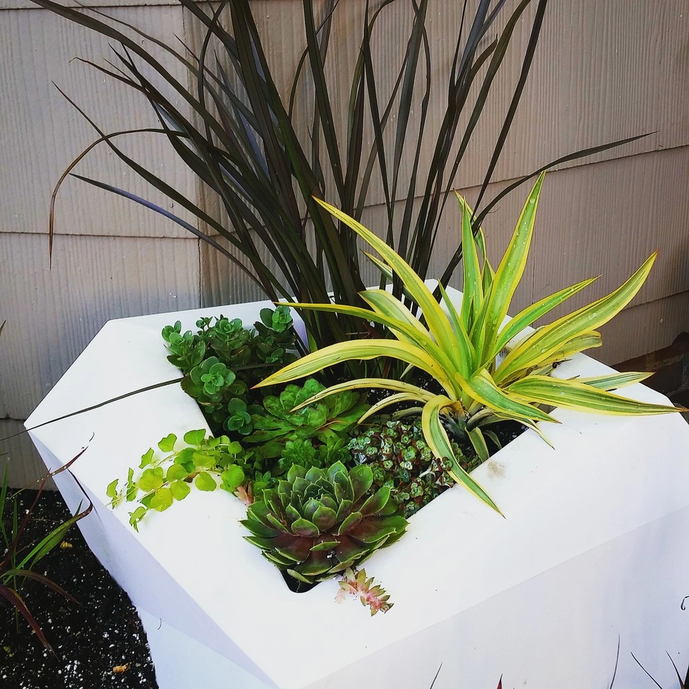 Seattle Contemporary Planting by Olander Garden Design - Photo 4