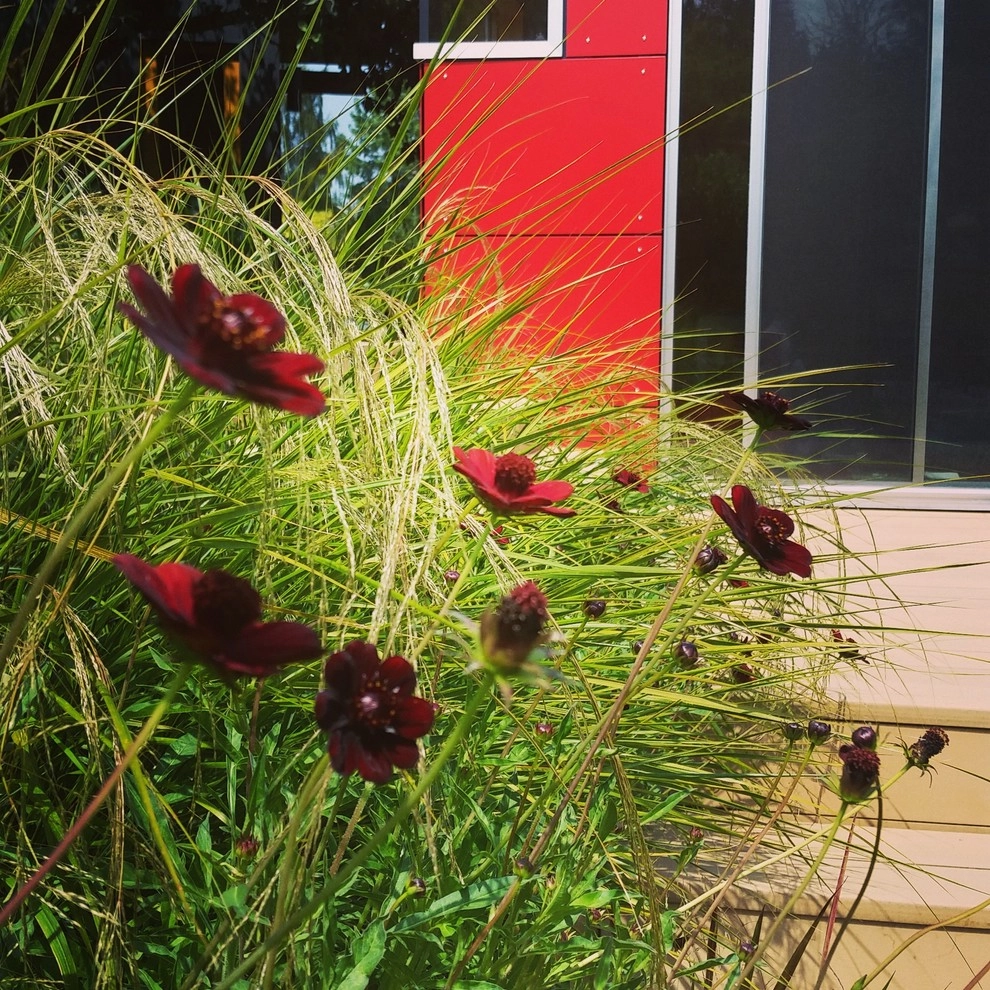 Modern Details by Olander Garden Design - Photo 8