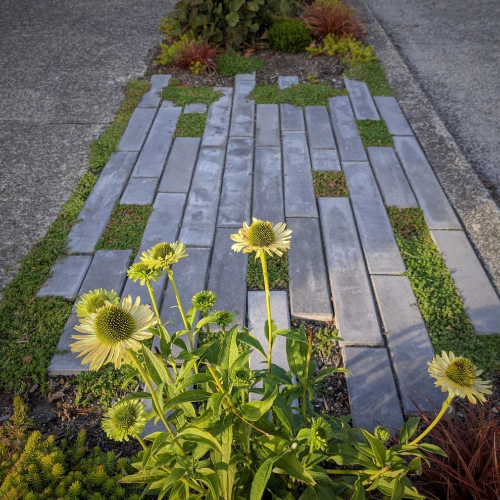 Sunset Hill Edible Garden by Olander Garden Design - Photo 3