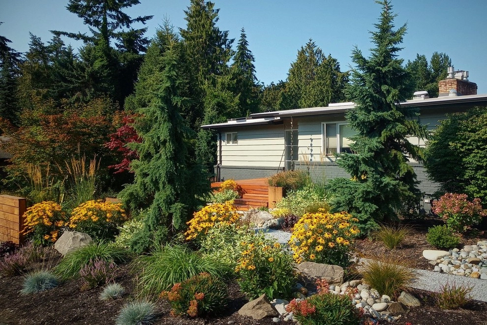 Broadview Mid-Century Makeover by Olander Garden Design - Photo 7