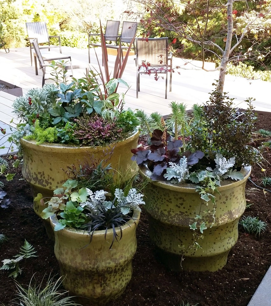 Modern Details by Olander Garden Design - Photo 10