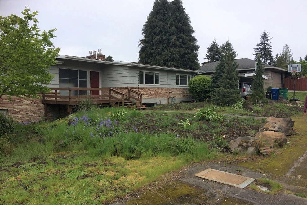 Broadview Mid-Century Makeover by Olander Garden Design - Photo 4
