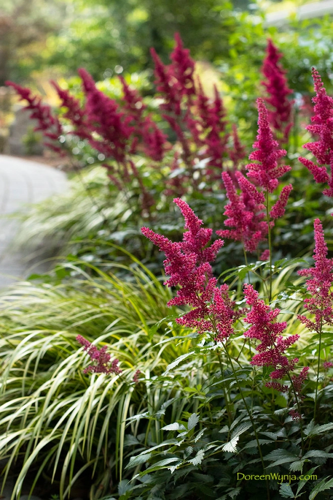 Windermere Color by Olander Garden Design - Photo 56