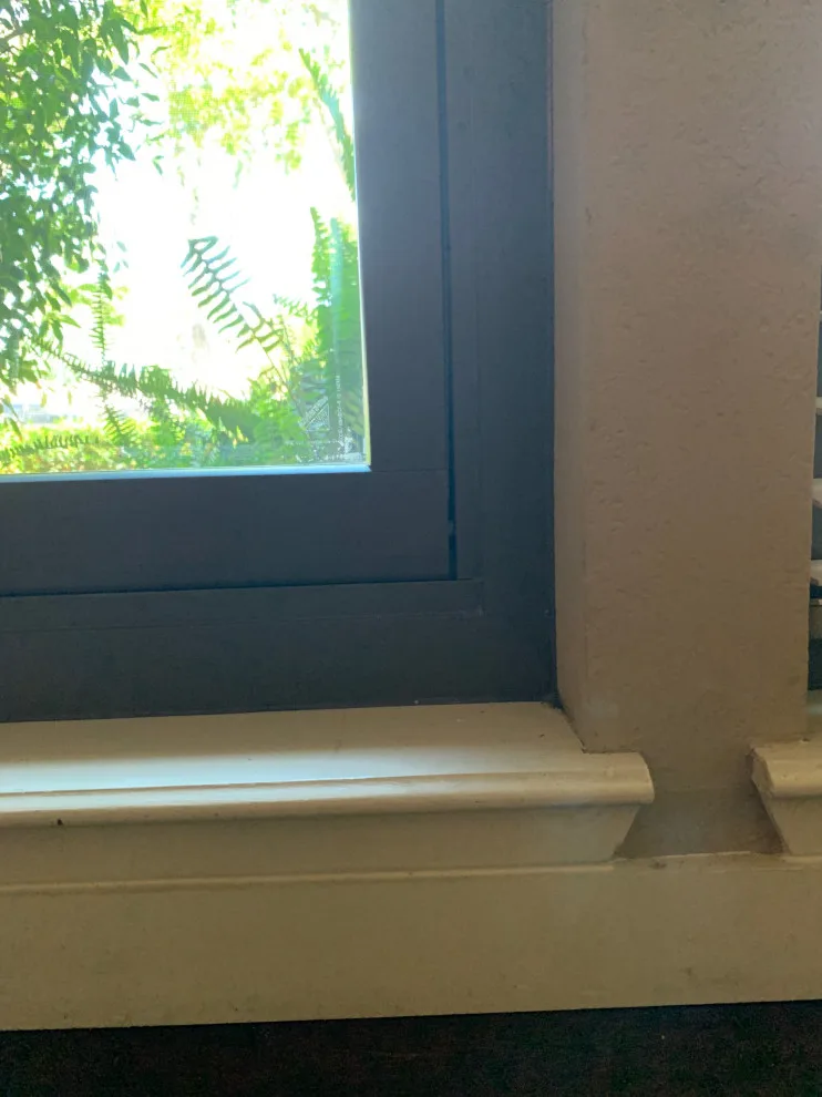 Diverse Window Exhibit by Tyler With Renewal By Anderson Of Sacramento - Photo 27