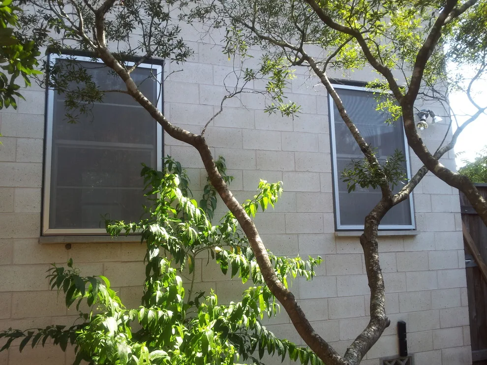 ASAP Siding & WIndows Of Houston - Photo 2