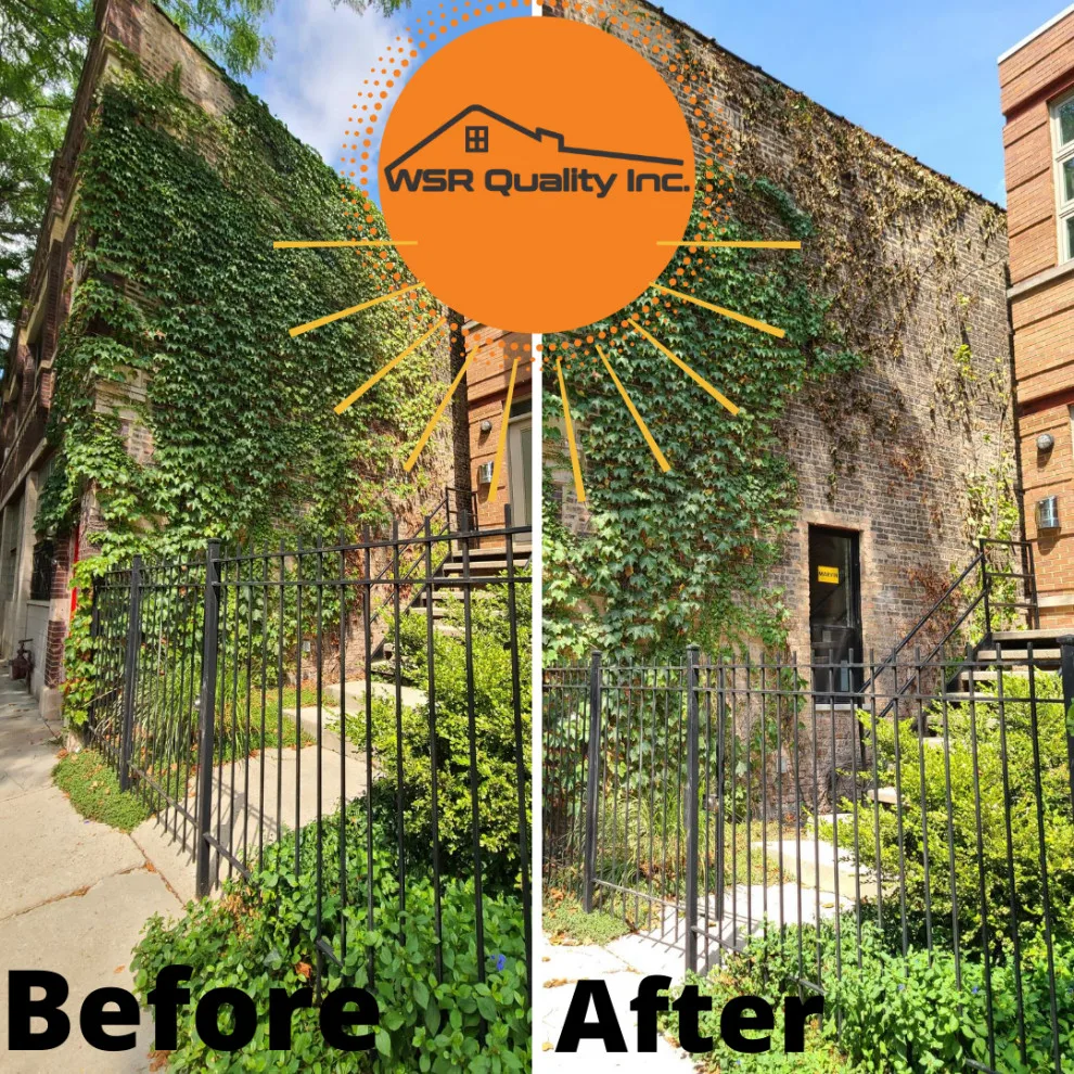 Transformation Images by WSR Quality Inc. - Photo 6