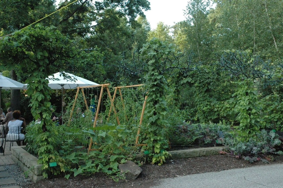 Kitchen Garden by ONeill Landscape Design And Installation - Photo 2