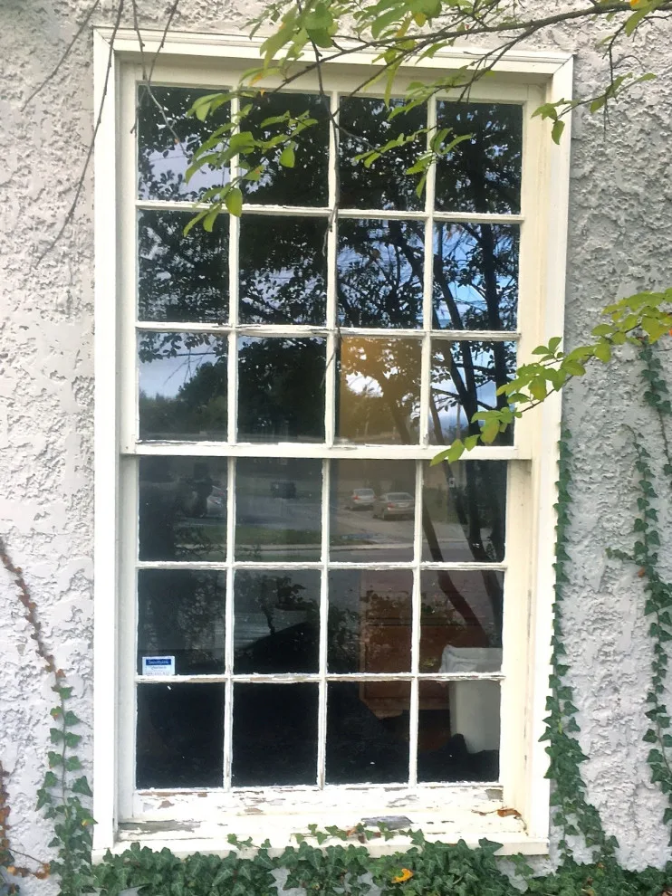 Willow Window - Photo 12
