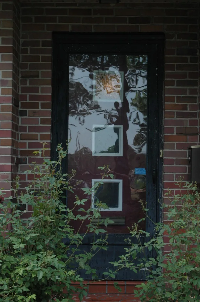 Elegant Entrances by Better View Windows And More, LLC - Photo 4