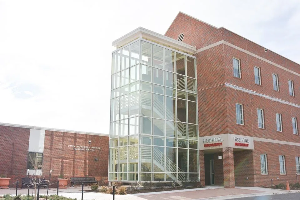 Lee Glass And Window, LLC - Photo 9
