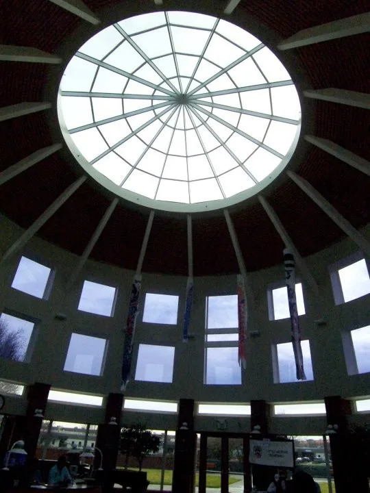 Tailored Glass Initiatives by Solarium/Skylight Inc - Photo 8