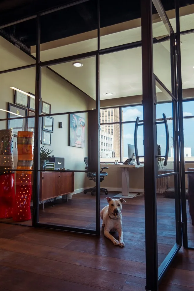 Austin City Legal Office by Presidio Doors - Photo 2