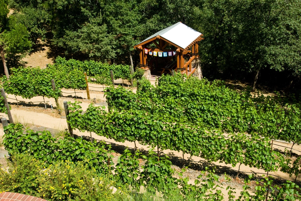 Sycamore Ranch Vineyard and Winery by Architerra Design Group - Photo 6