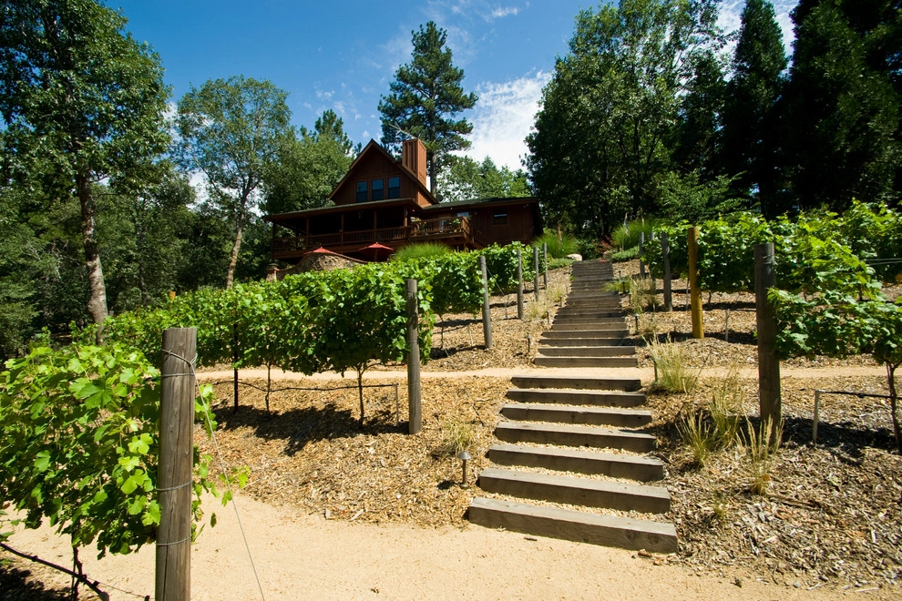Sycamore Ranch Vineyard and Winery by Architerra Design Group - Photo 3