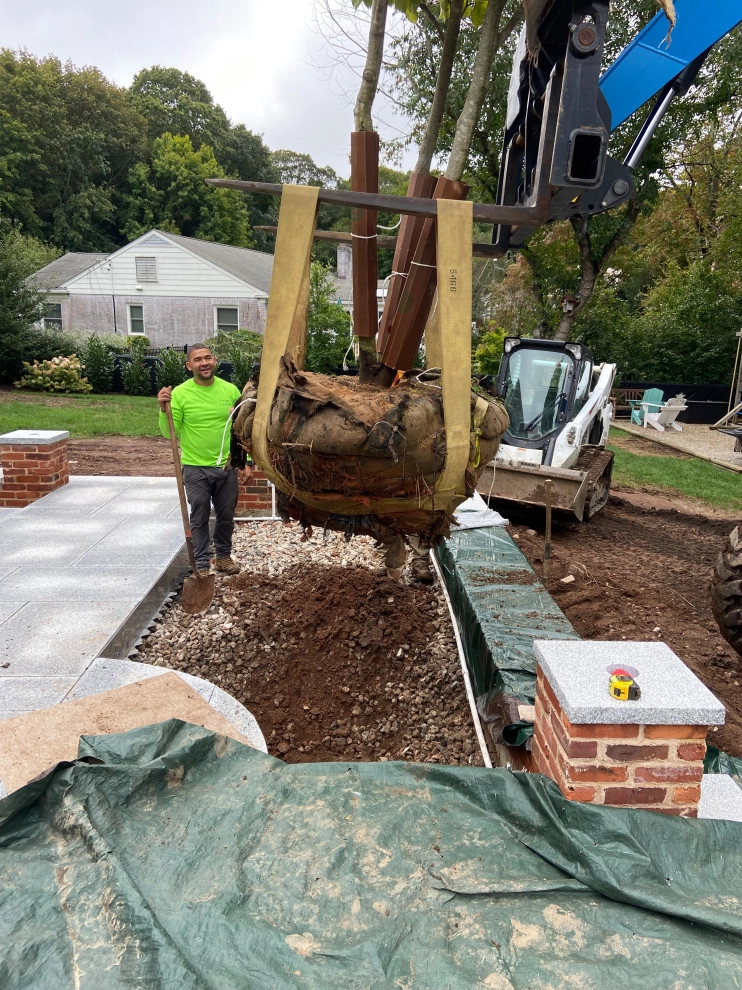 Hamden Patio Planting by Outdoor Lifestyles - Photo 6