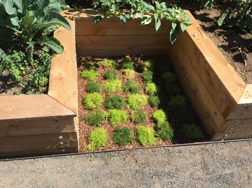 Vegetable Gardens by Outdoor Lifestyles - Photo 11