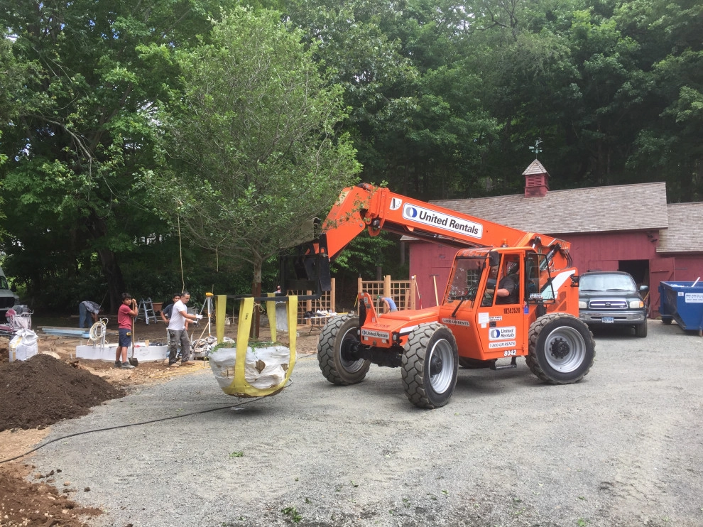 Tree Planting by Outdoor Lifestyles - Photo 23