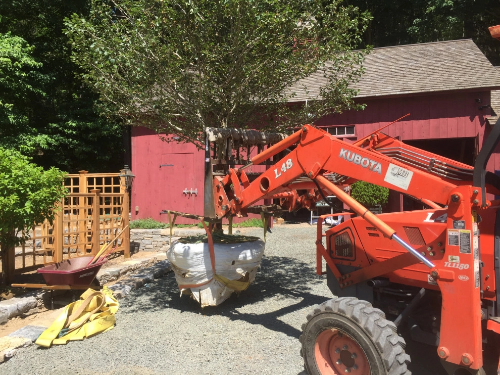Tree Planting by Outdoor Lifestyles - Photo 2